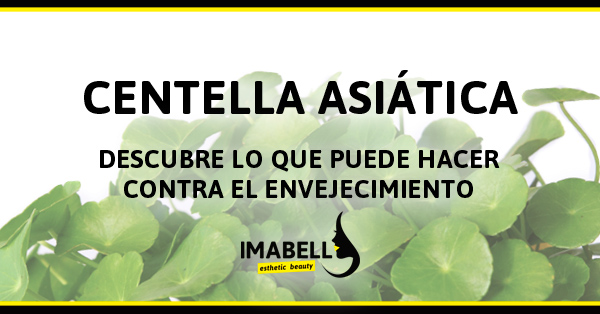 Centella Asiática contra el envejecimiento Centella Asiática contra el envejecimiento