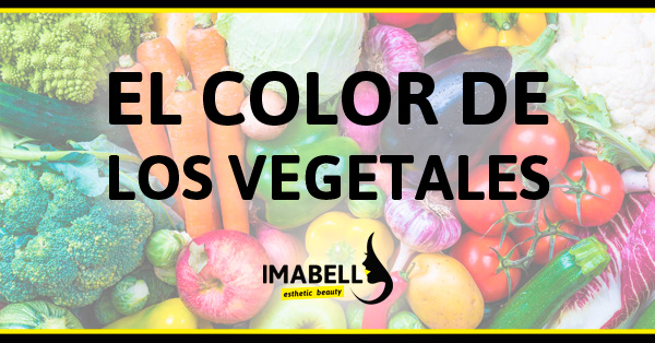 EL COLOR DE LOS VEGETALES EL COLOR DE LOS VEGETALES