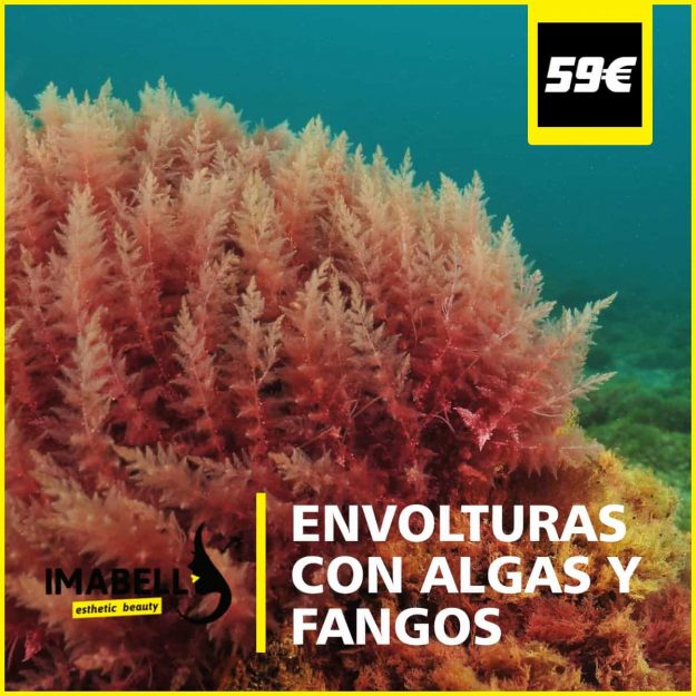 envolturas con algas y fangos envolturas con algas y fangos